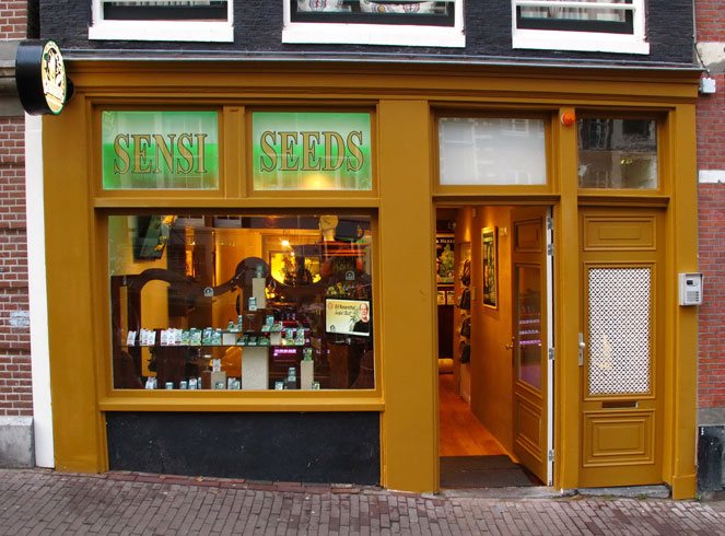 Één van de winkels van Sensi Seeds in Amsterdam. Winkel van Sensi Seeds in Amsterdam