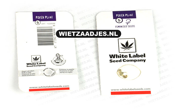 White Label Seeds verpakking